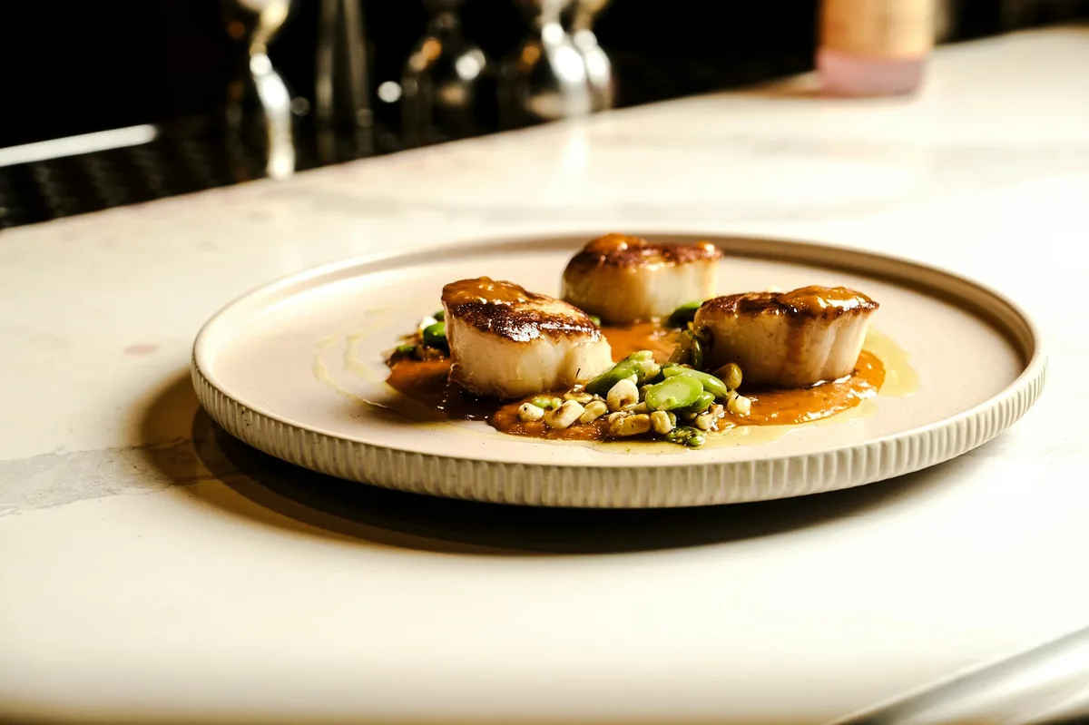 Gourmet scallops with vegetables elegantly plated on a ceramic dish under soft lighting.