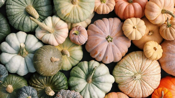 Kepimo milteliai ir soda